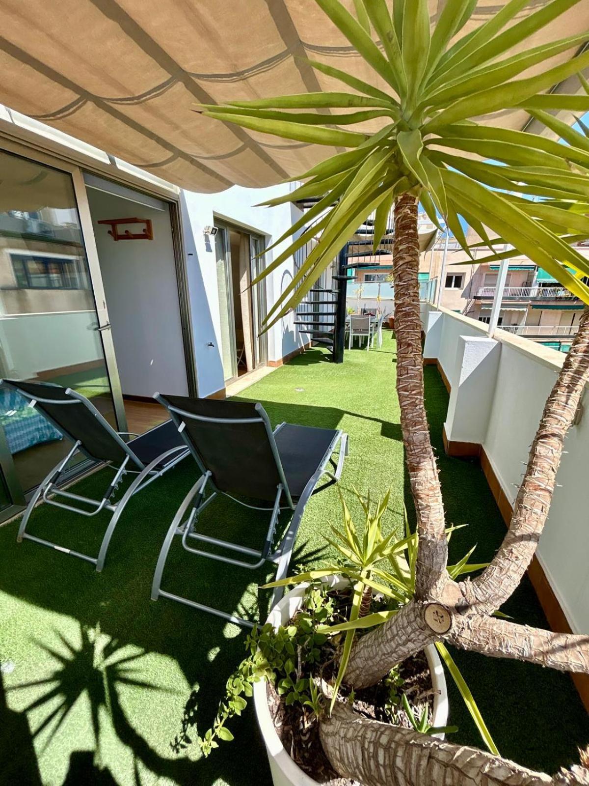 2 Big Terraces Penthouse City Center Αλικάντε Εξωτερικό φωτογραφία