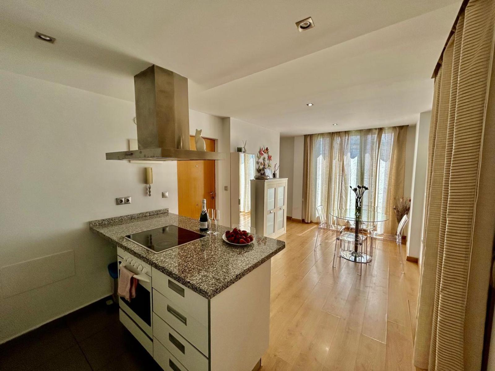 2 Big Terraces Penthouse City Center Αλικάντε Εξωτερικό φωτογραφία